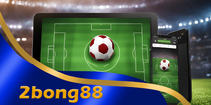 2bong88 - Nhà cái trực tuyến uy tín, bảo mật an toàn