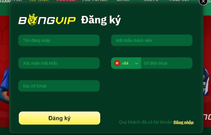 Bước đầu cho hành trình trải nghiệm tại nhà cái Bongvip