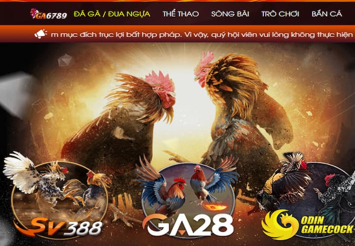 Tổng quan về nền tảng giải trí trực tuyến Ga6789